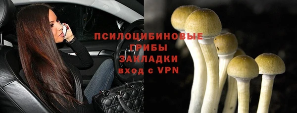 мяу мяу мука Новозыбков