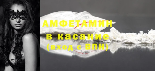 амф Новодвинск