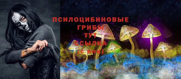 амф Новодвинск