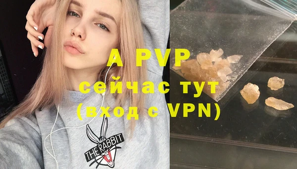 ECSTASY Армянск
