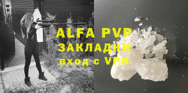 амф Новодвинск
