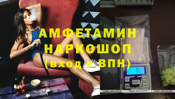 амф Новодвинск