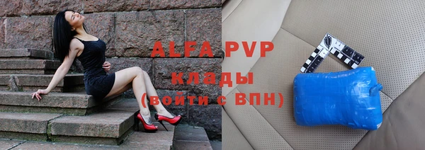 амф Новодвинск