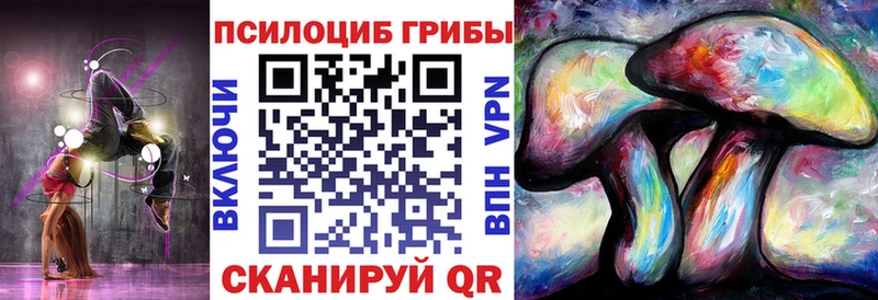 Псилоцибиновые грибы MAGIC MUSHROOMS  наркотики  Чердынь 